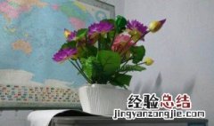 客厅的冰箱上可以放什么花 冰箱上面放什么花好