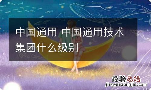 中国通用 中国通用技术集团什么级别