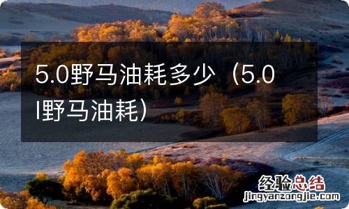 5.0l野马油耗 5.0野马油耗多少