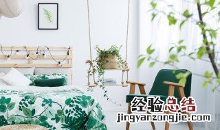 房间放什么植物对人体好不好 房间放些什么植物好?