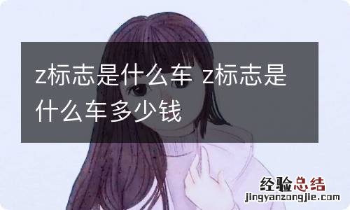 z标志是什么车 z标志是什么车多少钱