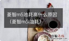 菱智m5l油耗 菱智m5油耗高什么原因