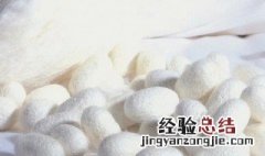 蚕丝是什么材料 桑蚕丝与真丝的区别