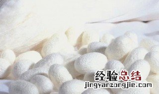 蚕丝是什么材料 桑蚕丝与真丝的区别