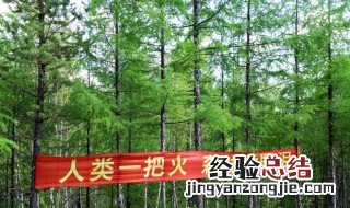 森林防火内容简短 简短森林防火标语大全