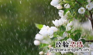 关于春雨绵绵的心情说说有哪些 关于春雨绵绵的心情说说有哪些句子