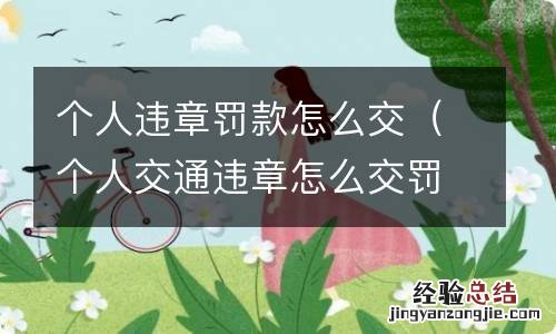 个人交通违章怎么交罚款 个人违章罚款怎么交