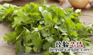 怎样择香菜 怎么挑香菜