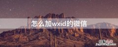 怎么加wxid的微信号怎么加不了? 怎么加wxid的微信