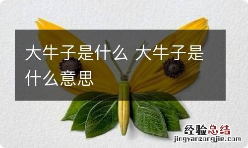 大牛子是什么 大牛子是什么意思