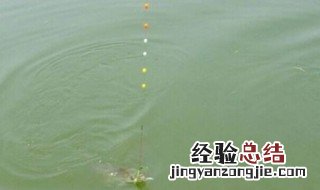 河道钓鱼用什么竿 河竿钓鱼有什么技巧