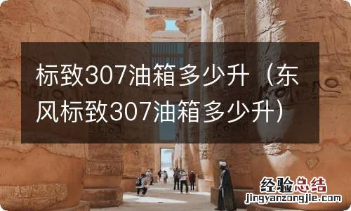 东风标致307油箱多少升 标致307油箱多少升