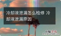 冷却液泄漏怎么检修 冷却液泄漏原因