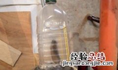 怎样用瓶子做老鼠夹 怎么DIY老鼠夹