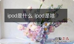 ipod是什么 ipod是啥