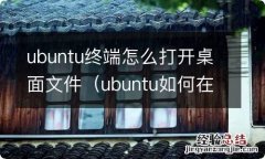 ubuntu如何在终端打开文件 ubuntu终端怎么打开桌面文件