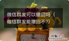 微信群发能撤回不? 微信群发可以撤回吗