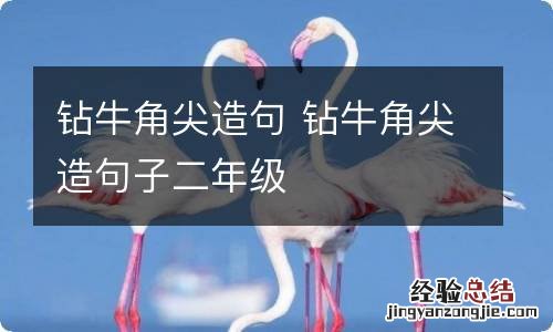 钻牛角尖造句 钻牛角尖造句子二年级