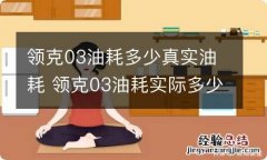 领克03油耗多少真实油耗 领克03油耗实际多少