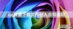 qq群里下载文件别人会知道吗 qq群发文件的人知道谁下载了吗