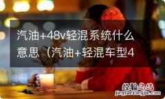 汽油+轻混车型48v是什么意思 汽油+48v轻混系统什么意思