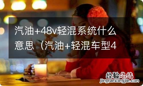 汽油+轻混车型48v是什么意思 汽油+48v轻混系统什么意思