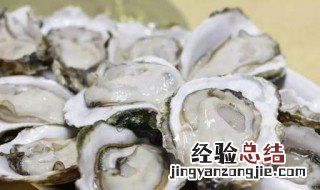 生蚝怎么打开 生蚝怎么打开最方便视频