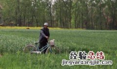 拔蒜苔简单技巧 怎么拔蒜苗容易