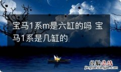 宝马1系m是六缸的吗 宝马1系是几缸的