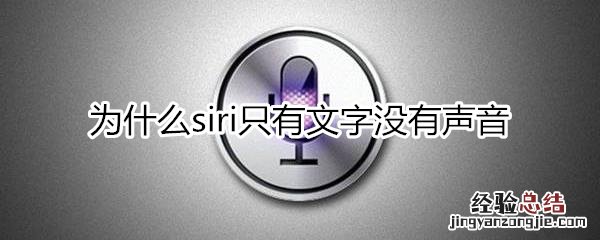 为什么siri没声音