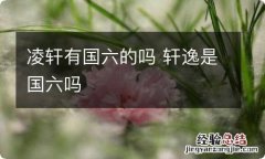 凌轩有国六的吗 轩逸是国六吗