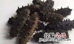 已经发好的海参怎么处理 什么现象就说明已经处理好了