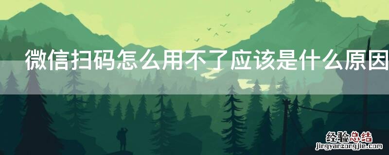 微信扫码怎么用不了应该是什么原因