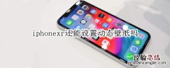 iphonexr还能设置动态壁纸吗