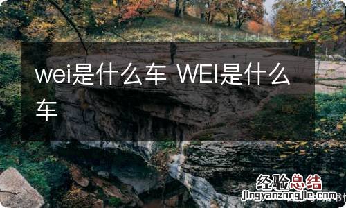 wei是什么车 WEI是什么车