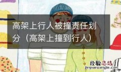 高架上撞到行人 高架上行人被撞责任划分