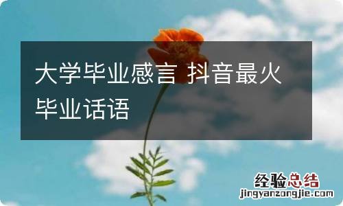 大学毕业感言 抖音最火毕业话语