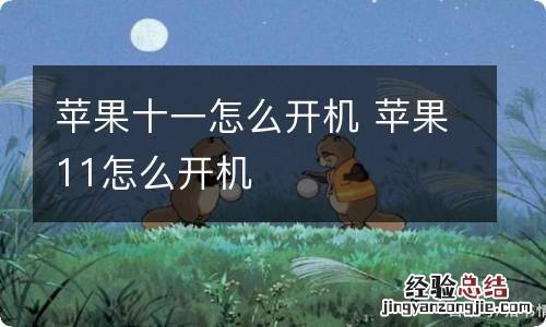 苹果十一怎么开机 苹果11怎么开机