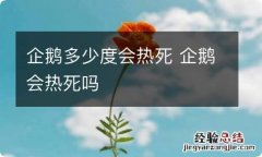 企鹅多少度会热死 企鹅会热死吗