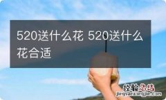 520送什么花 520送什么花合适