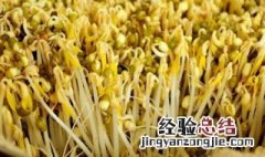 发豆芽教程图片 发豆芽方法步骤