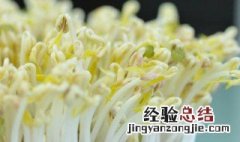 种豆芽最简单方法 种豆芽最简单方法是什么