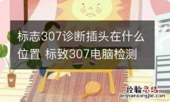 标志307诊断插头在什么位置 标致307电脑检测插头在哪里