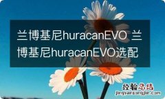 兰博基尼huracanEVO 兰博基尼huracanEVO选配表