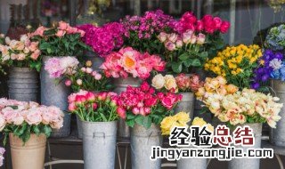 教师节送什么鲜花 教师节送什么鲜花给老师