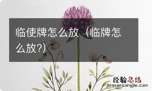 临牌怎么放? 临使牌怎么放