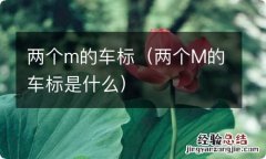 两个M的车标是什么 两个m的车标