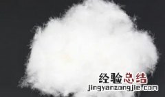 白鸭绒是什么绒子 白鸭绒是什么绒