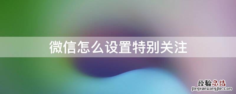 微信怎么设置特别关注的铃声 微信怎么设置特别关注