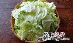 包菜是什么菜 包菜是什么菜图片